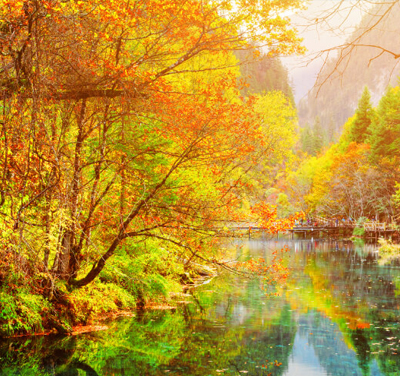 出發日【6/19、7/17、8/14】