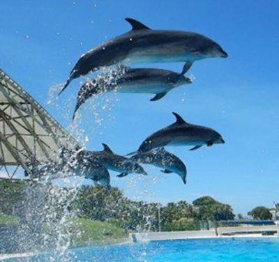 出發日期【2/17】