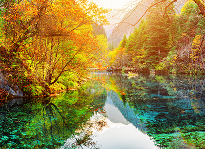 悠閒~愛上成都.熊貓谷.九寨溝.黃龍風景區.峨嵋樂山~八日遊(自由行)