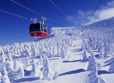 藏王樹冰絕景纜車~六日遊